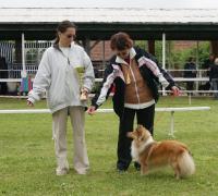 ANTIKA z Ďáblovy studánky