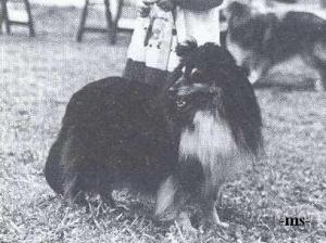 ARANKA Táborské hvozdy