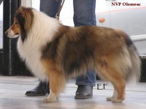 ARNY Slezská Moravia