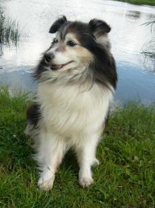 ARTUŠ Jezero Krudum