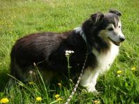 ARTUŠ Jezero Krudum