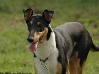 Be My Lord Nelson of Flying Heartbreakers