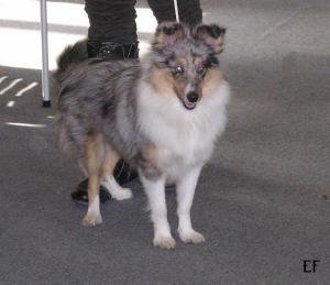 ATALANTA z Gröbovské vinice