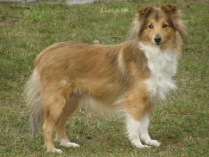 Atlantida z Ďáblovy studánky