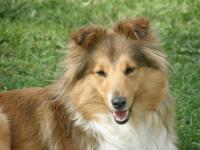 Atlantida z Ďáblovy studánky