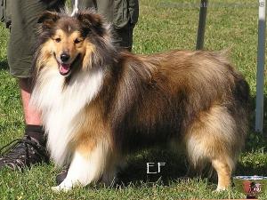 ATREJ z Duhové aury