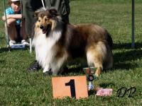 ATREJ z Duhové aury