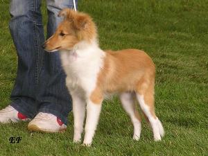 AVALANCHE z Hybšmanky