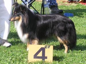 BADÉNBÁN Malý pasáček