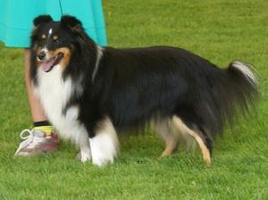 BÁJINBÁN Malý pasáček