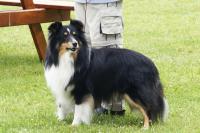 BÁJINBÁN Malý pasáček