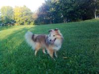 Ballantina z Duhového kopce