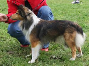 BARBI Stříbrné doly