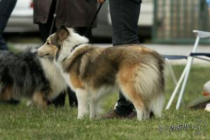 Barbie z Duhové aury