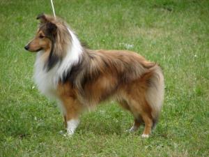 Bargo Stříbrné doly