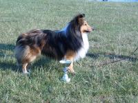 Bargo Stříbrné doly