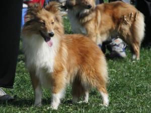 BARONESSE ze Souhvězdí Orionu