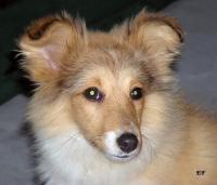 BARONESSE ze Souhvězdí Orionu