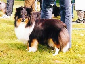 Barry Pístovický rybník