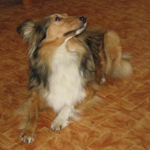 BEATRIS MADAME Stříbrný panther