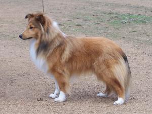 BEDUIN z Ďáblovy studánky