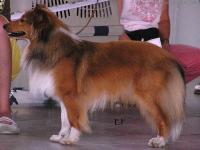 BEDUIN z Ďáblovy studánky