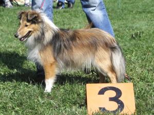 Beja Stříbrné doly