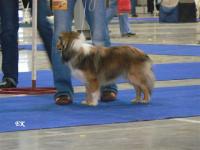 Beja Stříbrné doly