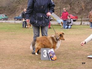 BELLEROFONTES Metuje