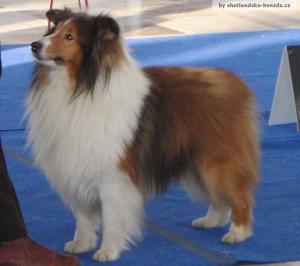 Belmars Above N Beyond