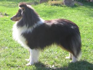 BENETTE Moravské srdce