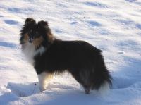 BENETTE Moravské srdce