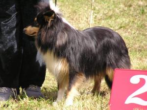 BENO z Vesničky u hranic