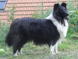 Berenica Bella Bonny Dux