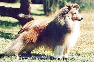 Bermarks Upside Down