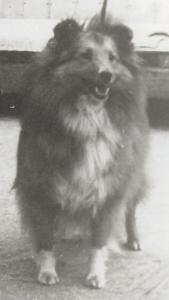 BESI Agátový háj CS