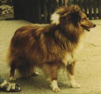 BESI Agátový háj CS