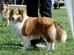 BEST GIRL Chancy Remus