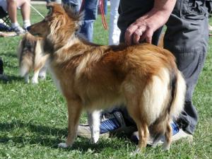 BETELQUESE ze Souhvězdí Orionu