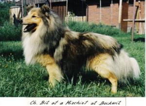 Bit of a Mischief at Beckwith