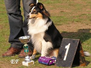 BLACK-MAGIC Amor Real