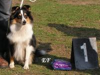 BLACK-MAGIC Amor Real