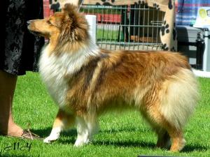 BOHEMIA z Ďáblovy studánky