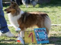 BOHEMIA z Ďáblovy studánky