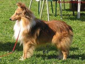 BON BON ze Souhvězdí Orionu