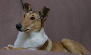 Coffee Krásná Louka