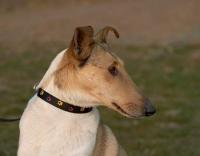 Coffee Krásná Louka