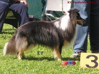 BRAVO od Kamenité říčky