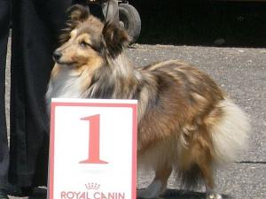 Brinie Moravské srdce