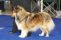 Brinie Moravské srdce